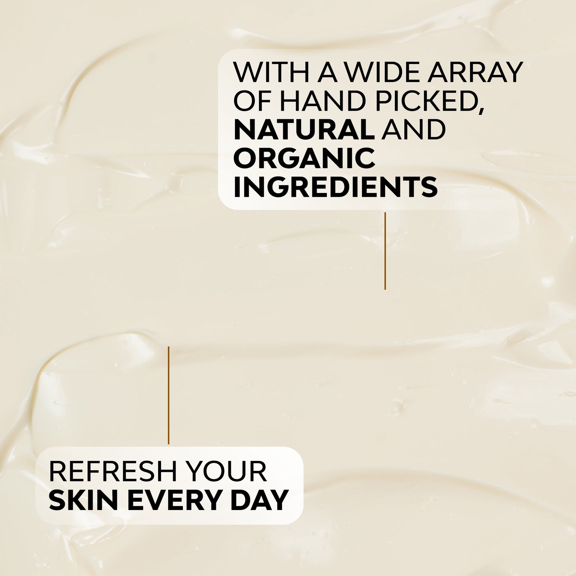 Timeless Eye Serum - Blessings Grow Meadows -