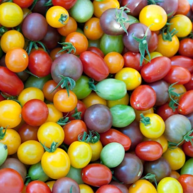 Cherry-licious Mix Tomatoes - Blessings Grow Meadows