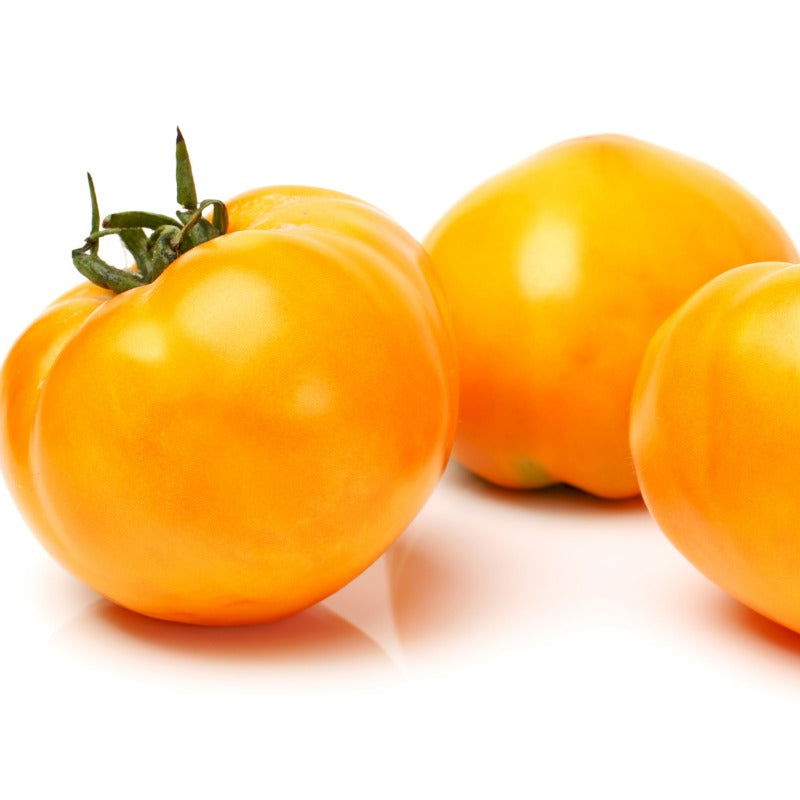 Valencia Tomato Seeds (Organic) - Blessings Grow Meadows