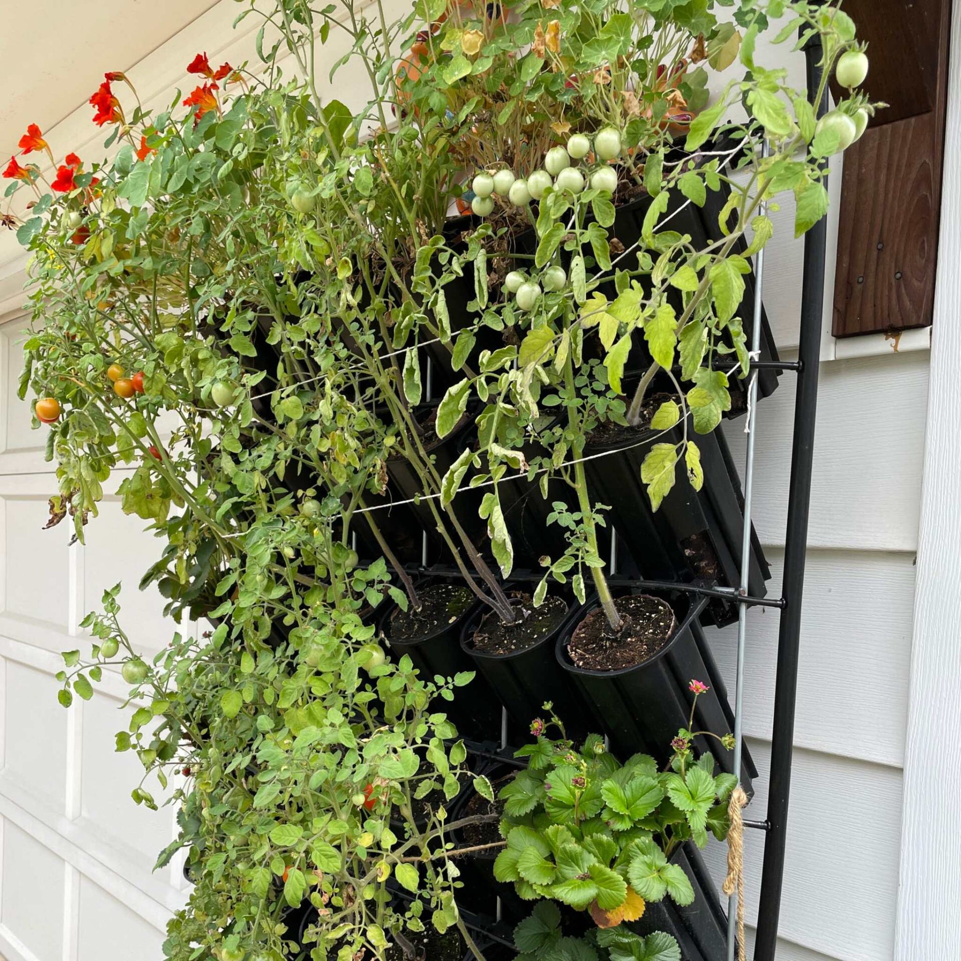 Varden™ Sleeve - Bootstrap Farmer ~ Blessings Grow Meadows