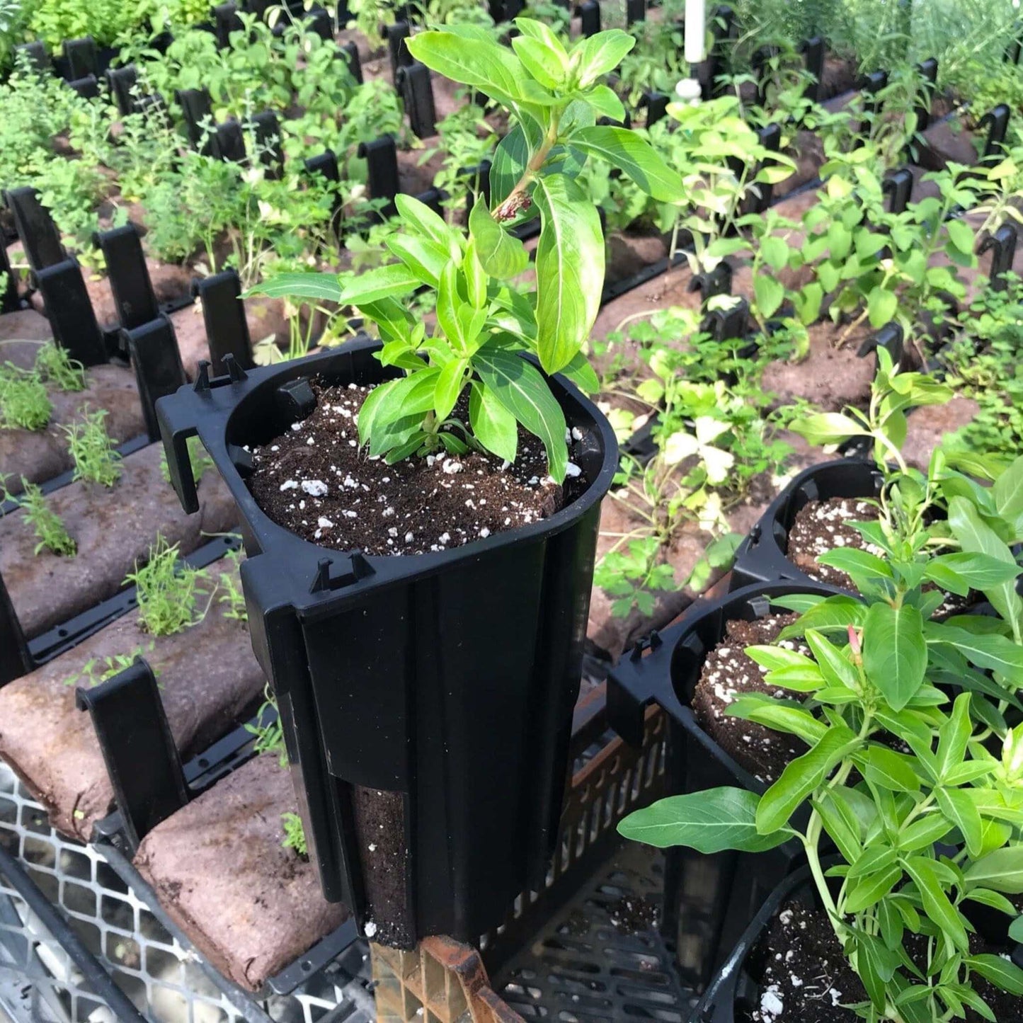 Varden™ Sleeve - Bootstrap Farmer ~ Blessings Grow Meadows