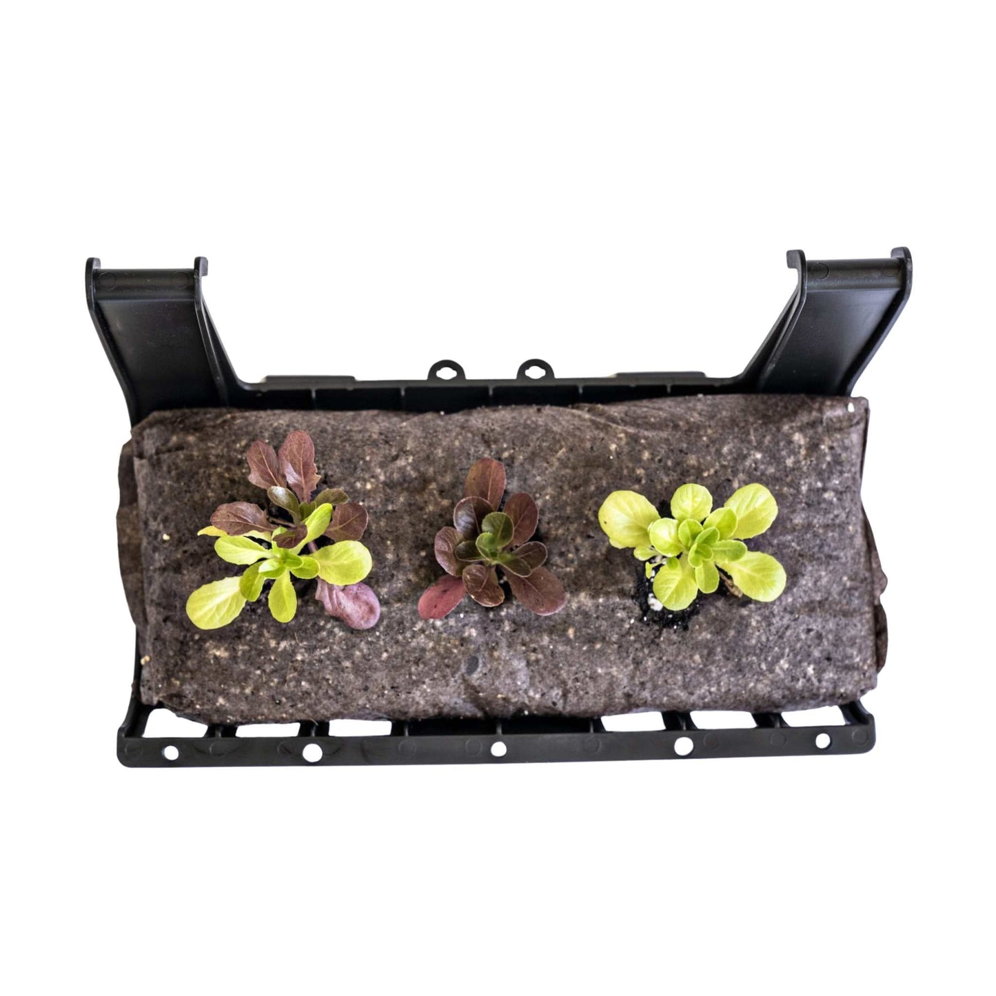 Varden™ Trays - Bootstrap Farmer ~ Blessings Grow Meadows