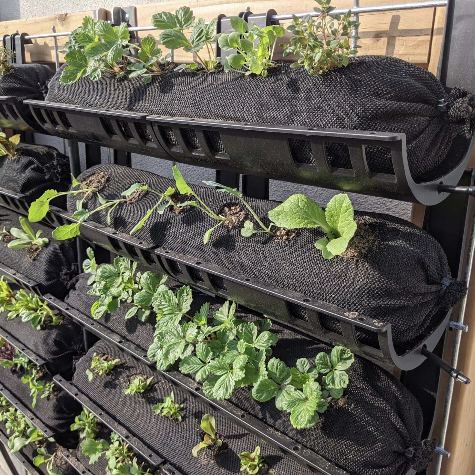 Varden™ Trays - Bootstrap Farmer ~ Blessings Grow Meadows