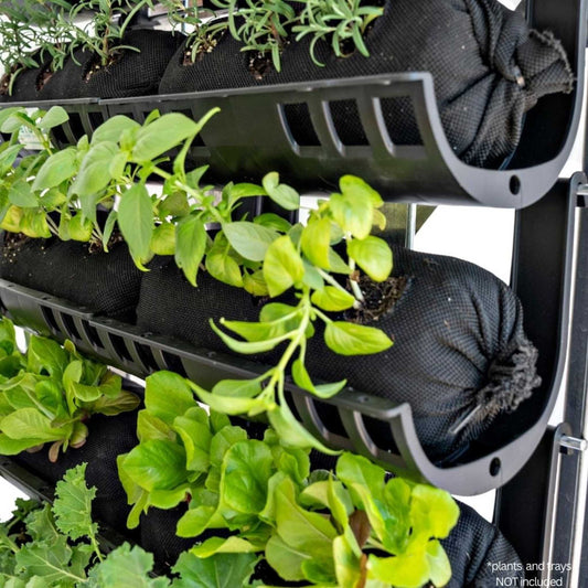 Varden™ Empty Mesh - Bootstrap Farmer ~ Blessings Grow Meadows