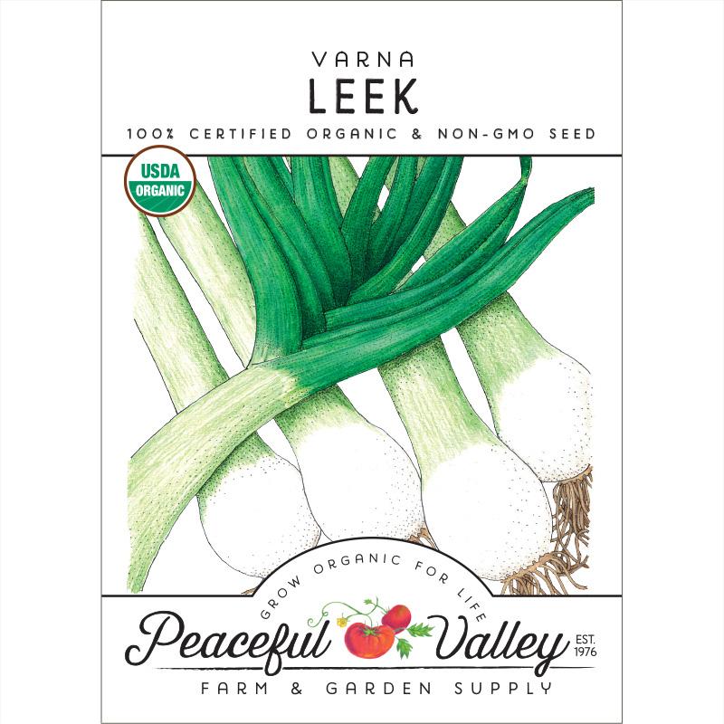 Varna Leek Seeds (Organic) - Blessings Grow Meadows