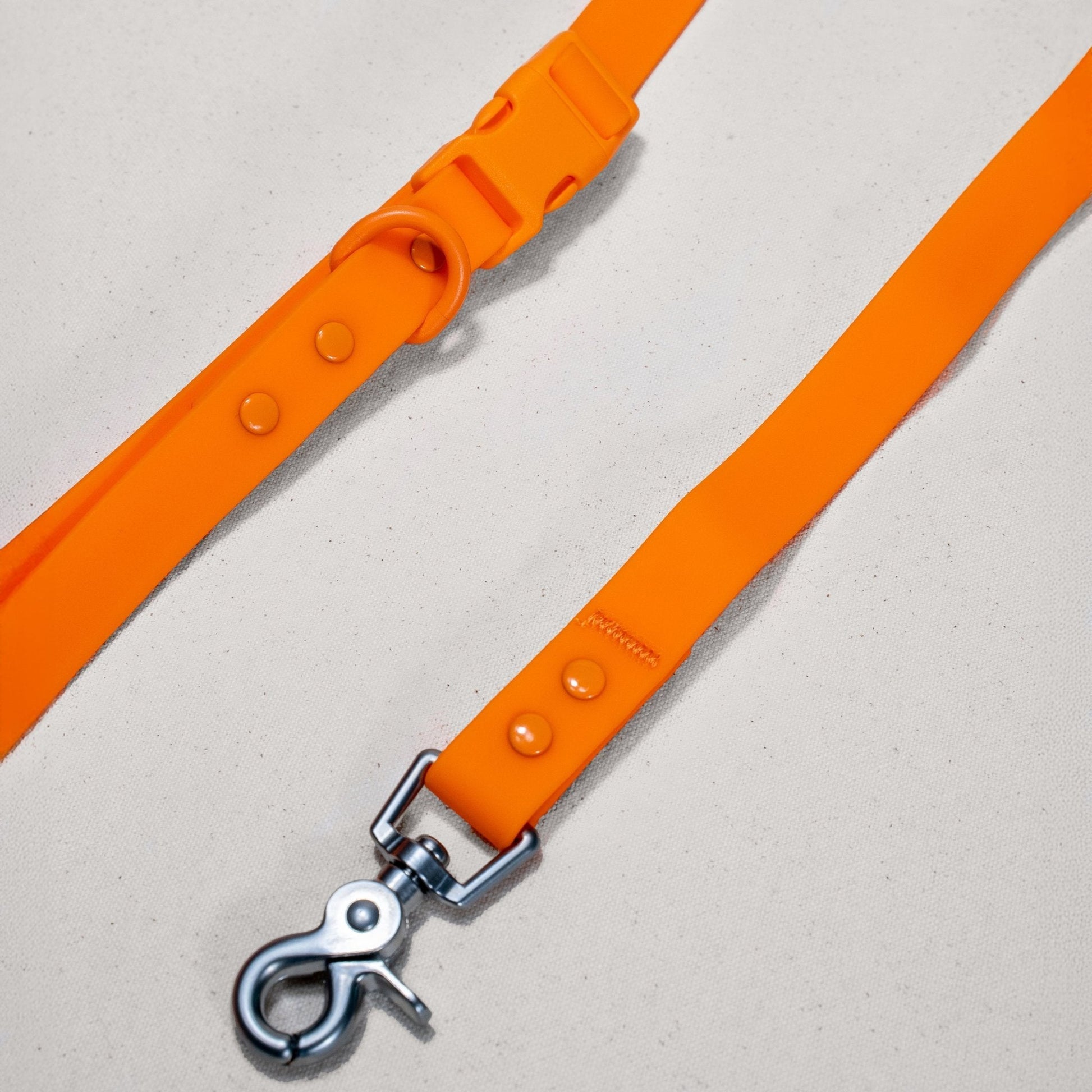 Durable waterproof PVC handsfree dog leash from Tilley + Me, designed for all weather conditions with odor-resistant features.