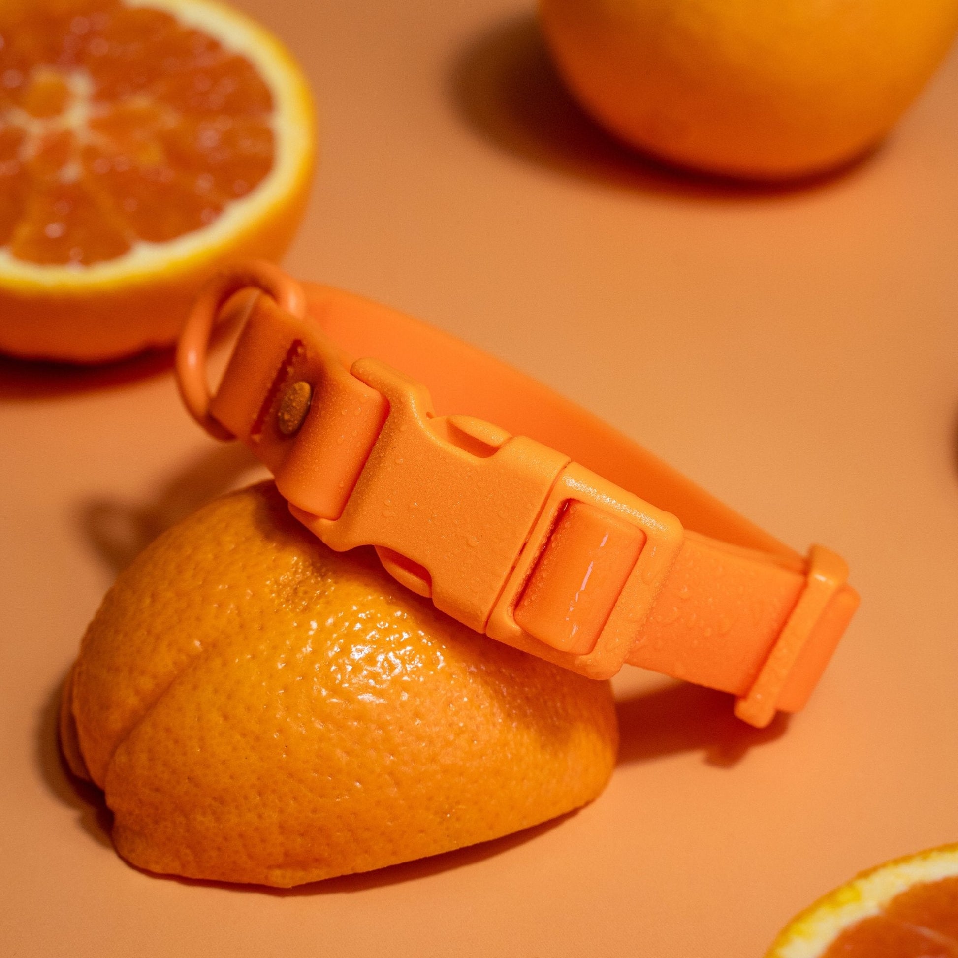 Waterproof PVC dog collar by Tilley + Me, durable and odor-resistant, shown in a close-up image of the all-weather pet collar.