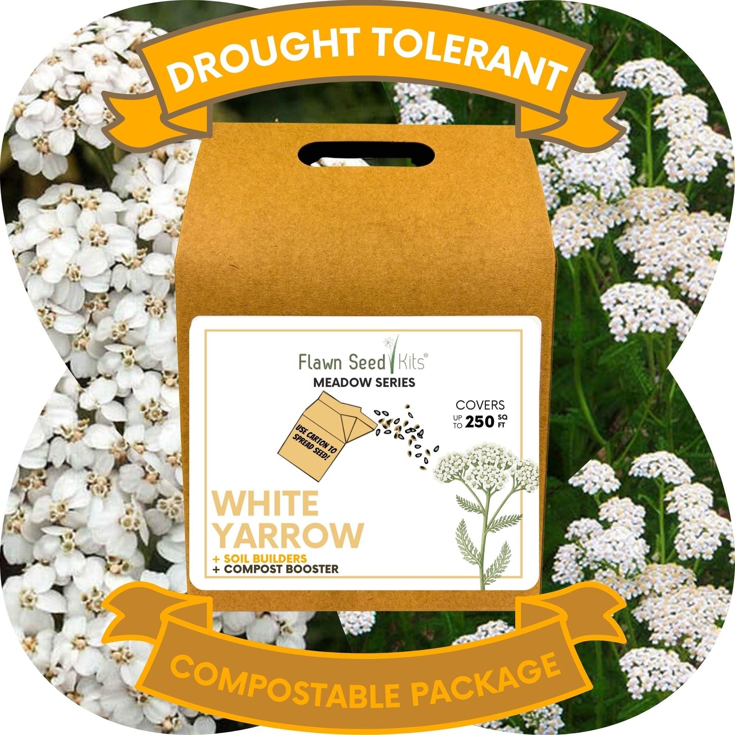 White Yarrow Eco-Friendly Seeding Kit - Flawn Seed Kits ~ Blessings Grow Meadows