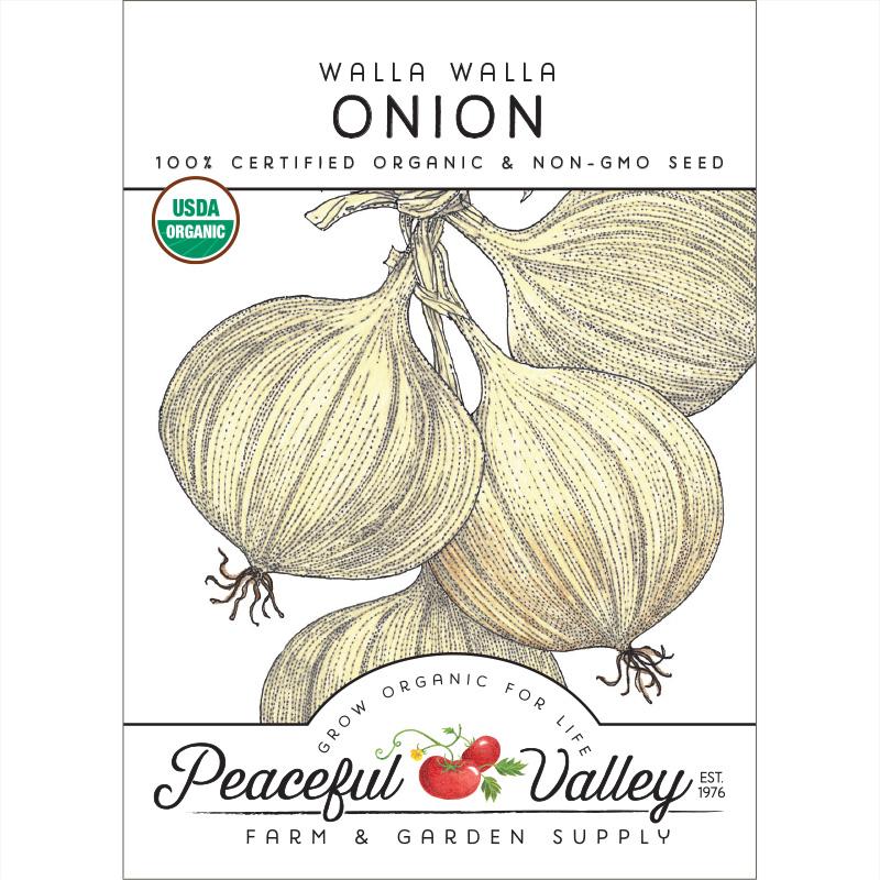 Walla Walla Onion Seeds (Organic) - Blessings Grow Meadows