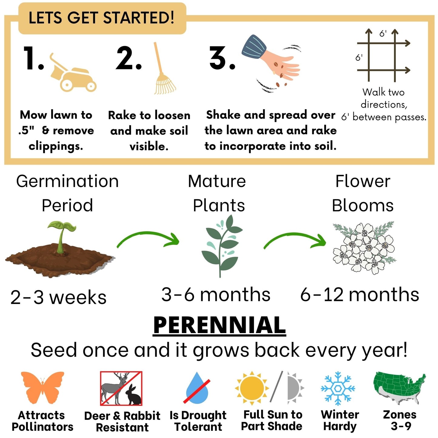 Yaak Yarrow 'Turf-Type' Seed - Blessings Grow Meadows