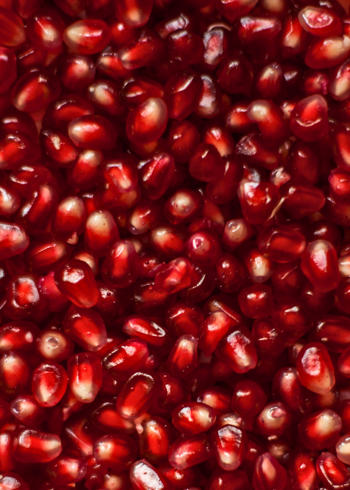 Healthy pomegranate 'Wonderful' tree with lush green foliage and developing fruit, grown by Sow Exotic.