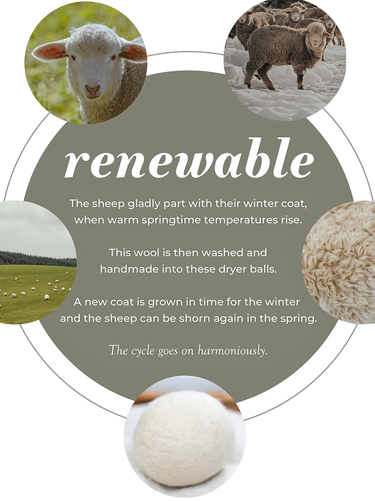 An infographic shows sheep shedding wool in spring, which is washed and made into Rustic Strength Jumbo Wool Dryer Balls (3 pack). This eco-friendly process supports regenerative agriculture as the cycle repeats with each new winter coat.