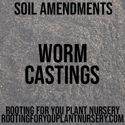 Worm Castings Soil Amendment