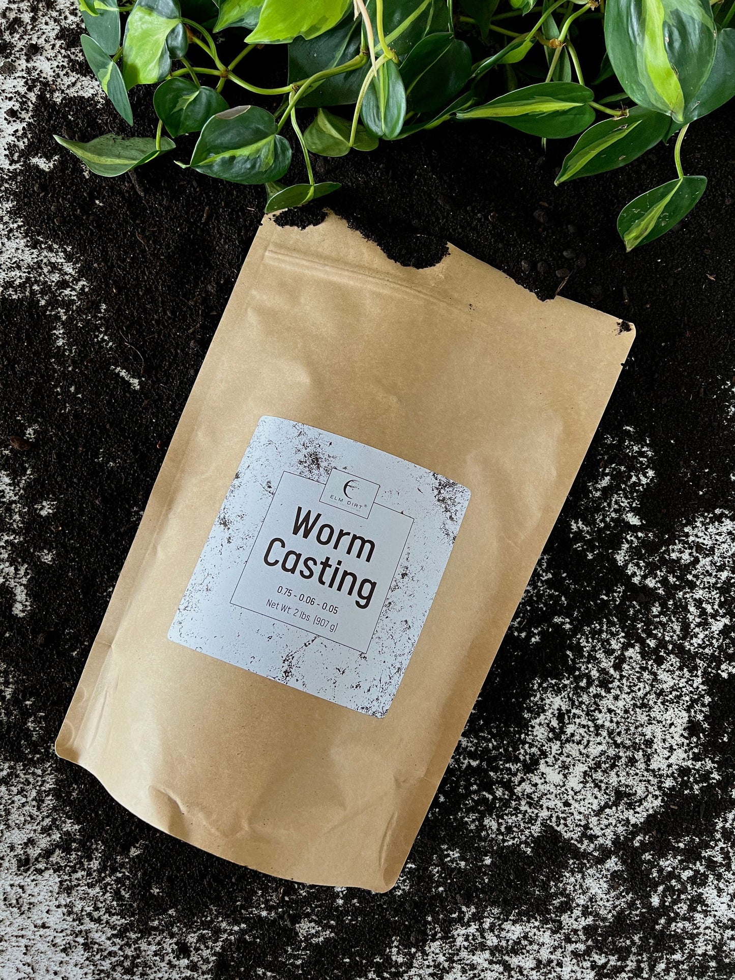 Worm Castings by Elm Dirt - Blessings Grow Meadows -