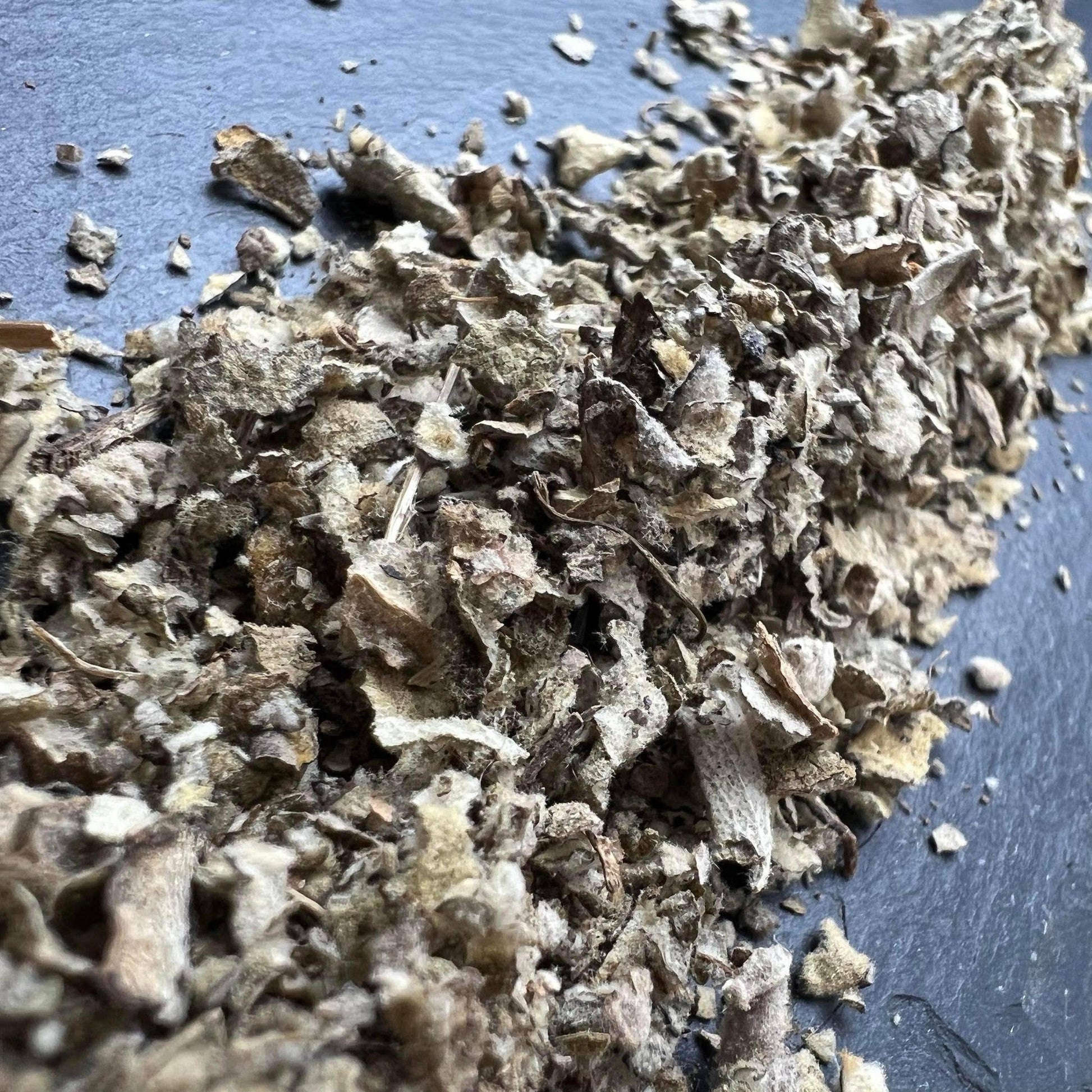 Mullein 1 oz. - Blessings Grow Meadows