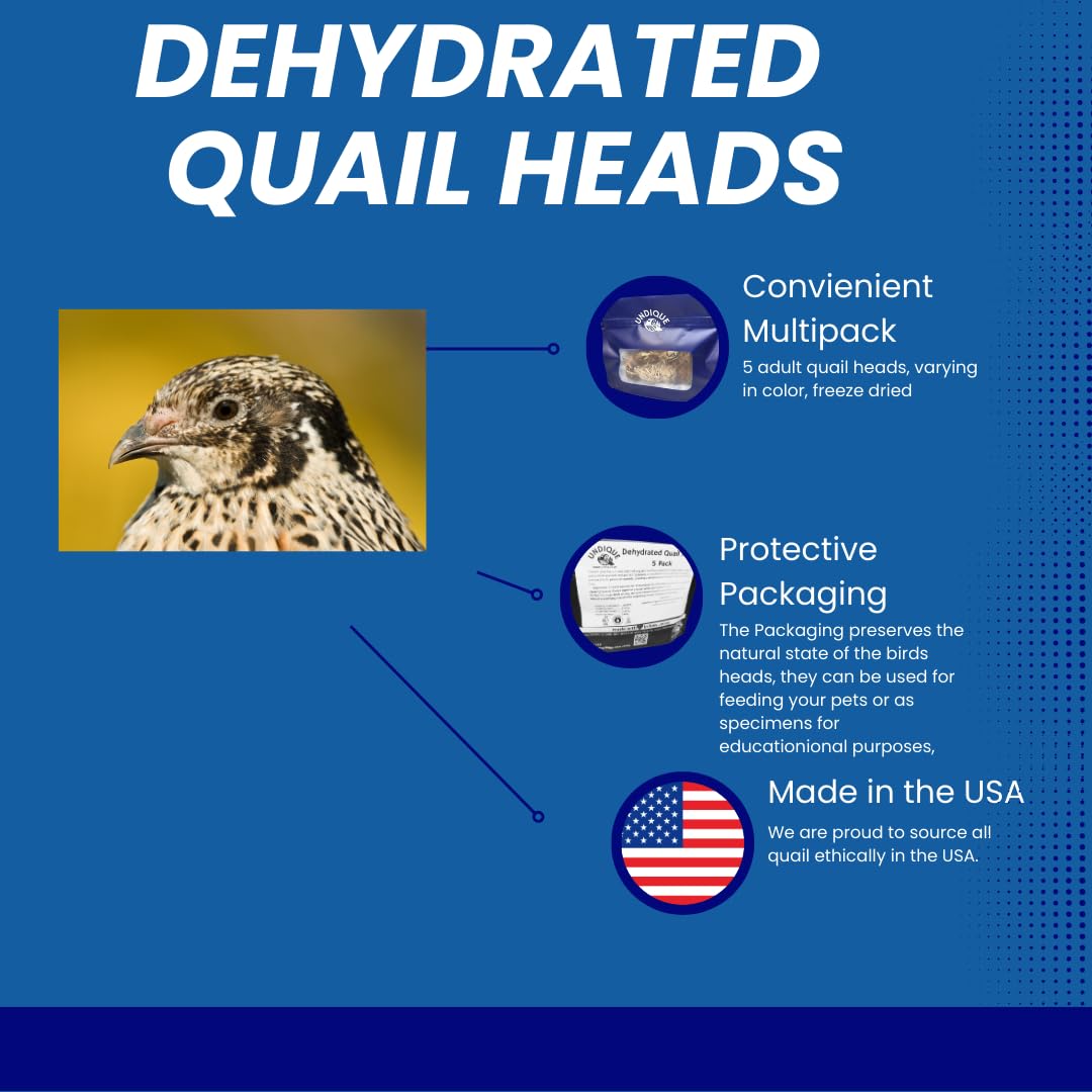 Pack of five Fine Feline Feasts Quail Heads gourmet cat treats, high-protein, nutrient-dense for healthy skin and coat.