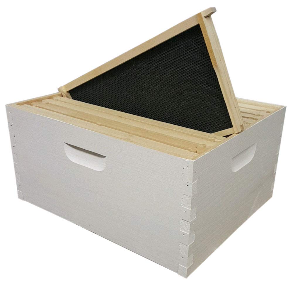 10 Frame Langstroth Deep Brood Box – Amish-Made White Pine (Painted & Assembled)
