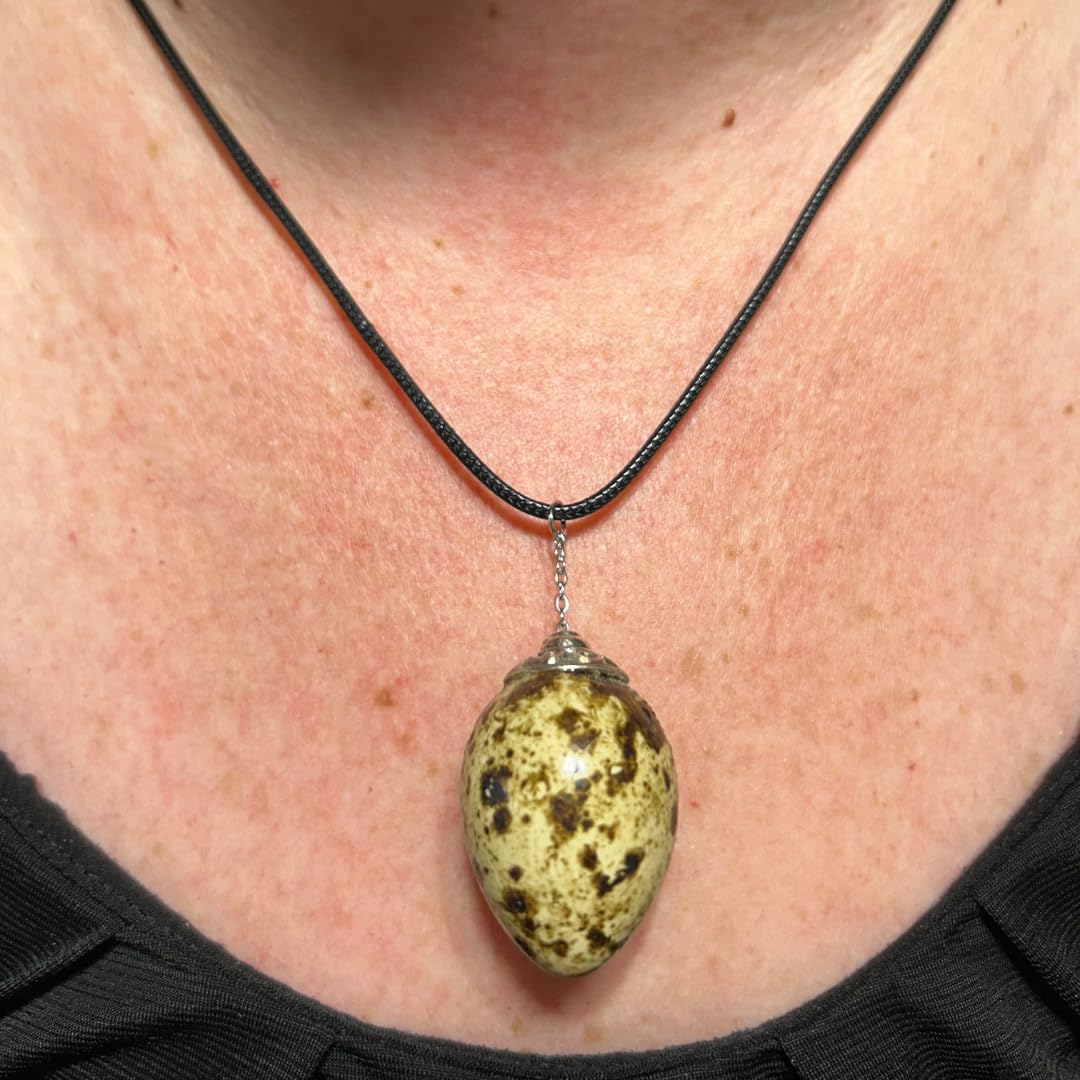 Small quail egg necklace from Quailz.com by Undique LLC featuring a delicate pendant with a tiny quail egg.