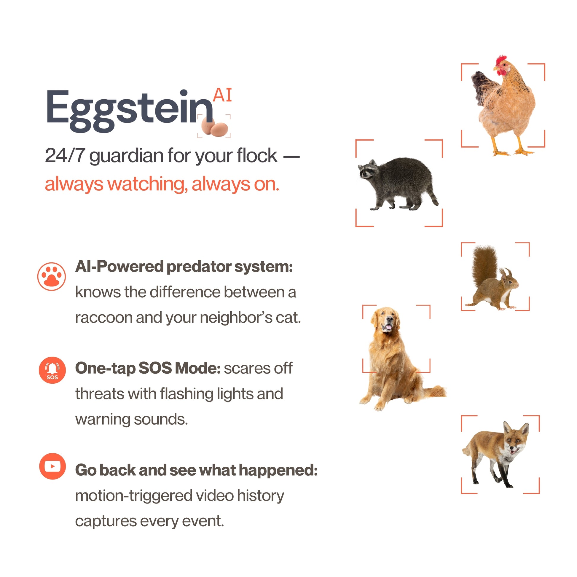 Smart CoopCam - Blessings Grow Meadows