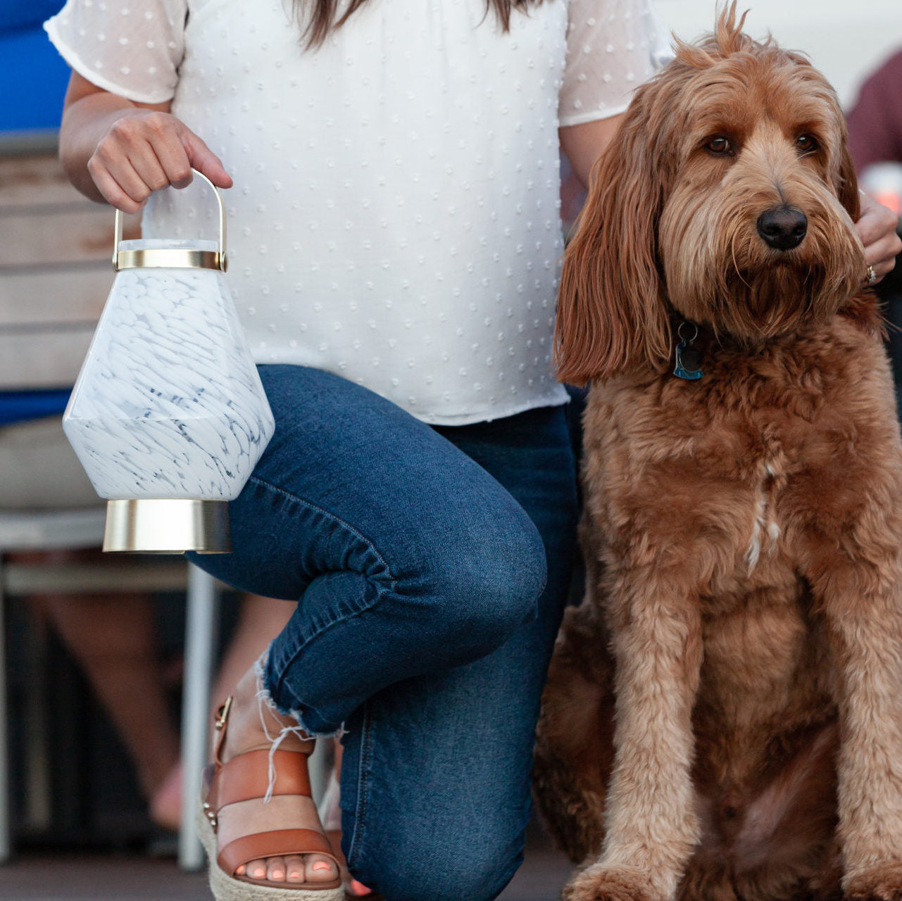 LightKeeper Lanterns - Rechargeable Glass LED Lanterns - Blessings Grow Meadows