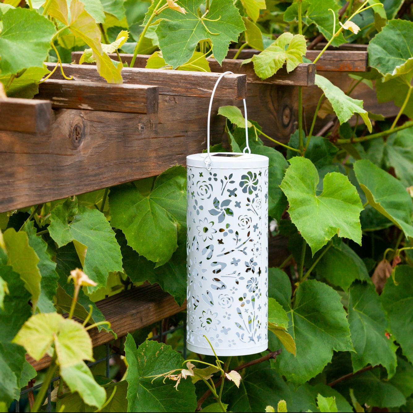 Bloom Punched Metal Solar Lantern - White - Blessings Grow Meadows