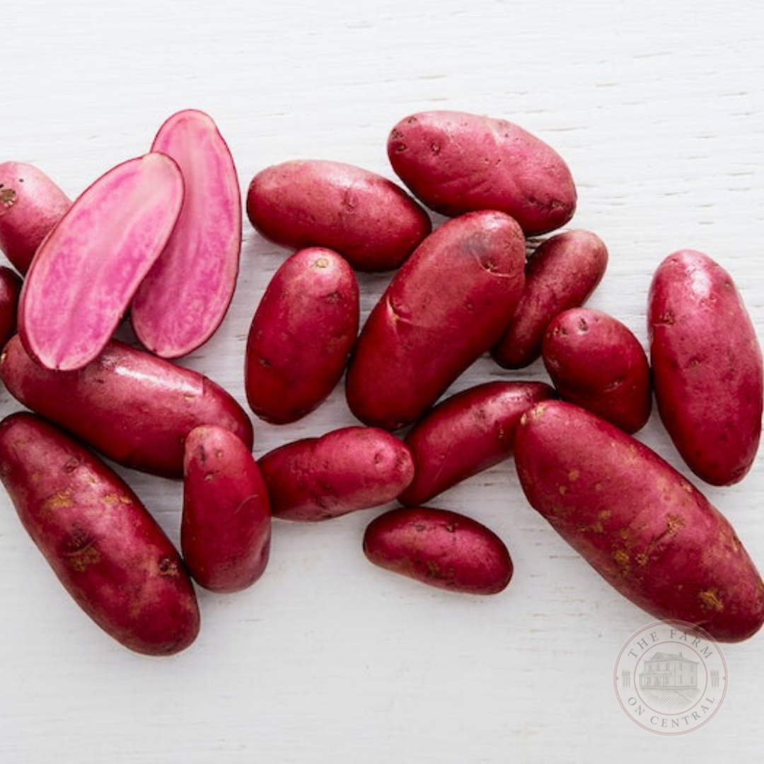Amarosa Fingerling Potatoes from The Farm On Central, fresh and earthy, displayed in a rustic basket with green leaves.