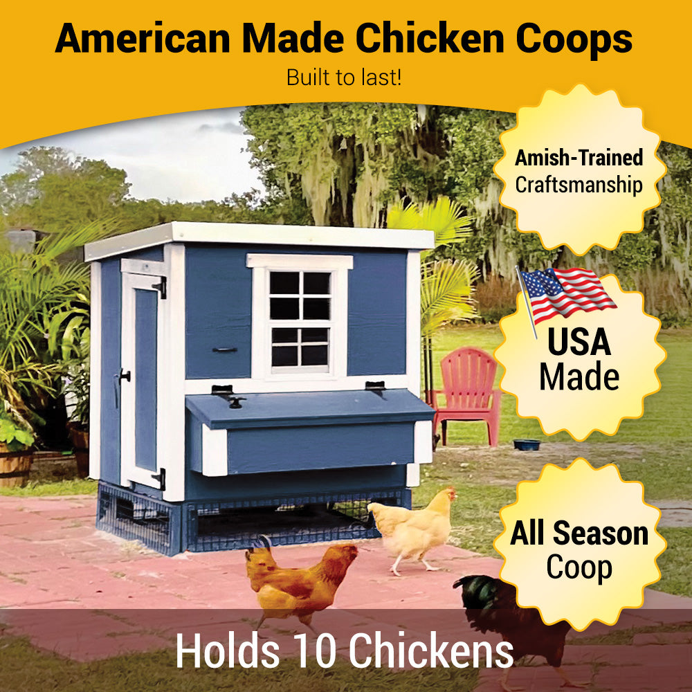Medium Chicken Coop - Up to 10 Chickens - OverEZ Chicken Coop ~ Blessings Grow Meadows