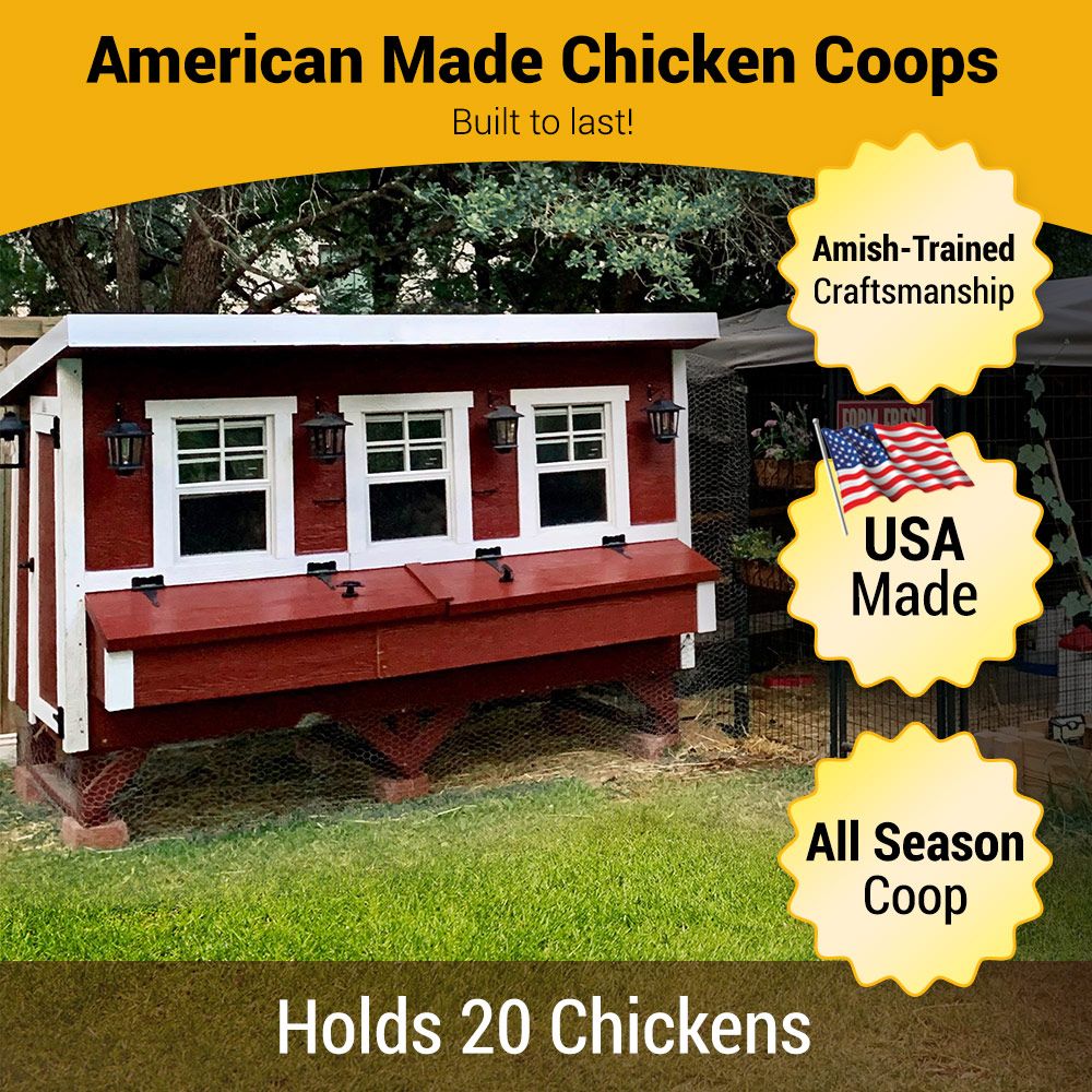 OverEZ XL Chicken Coop designed for up to 20 chickens, featuring spacious outdoor coop with nesting boxes and secure run.