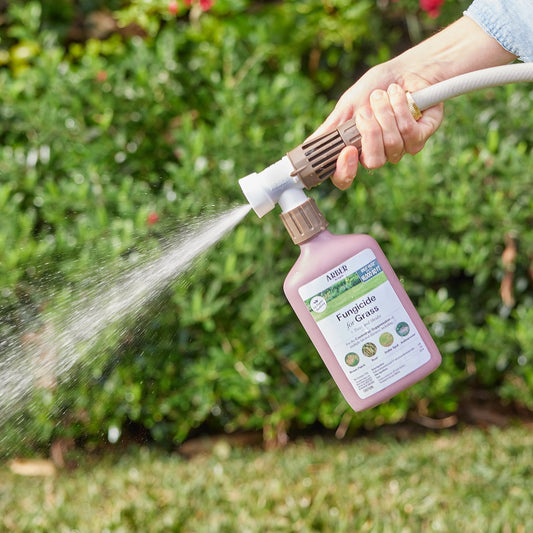 Organic fungicide for grass, trees, and shrubs by Arber, showing a container of natural plant disease treatment.