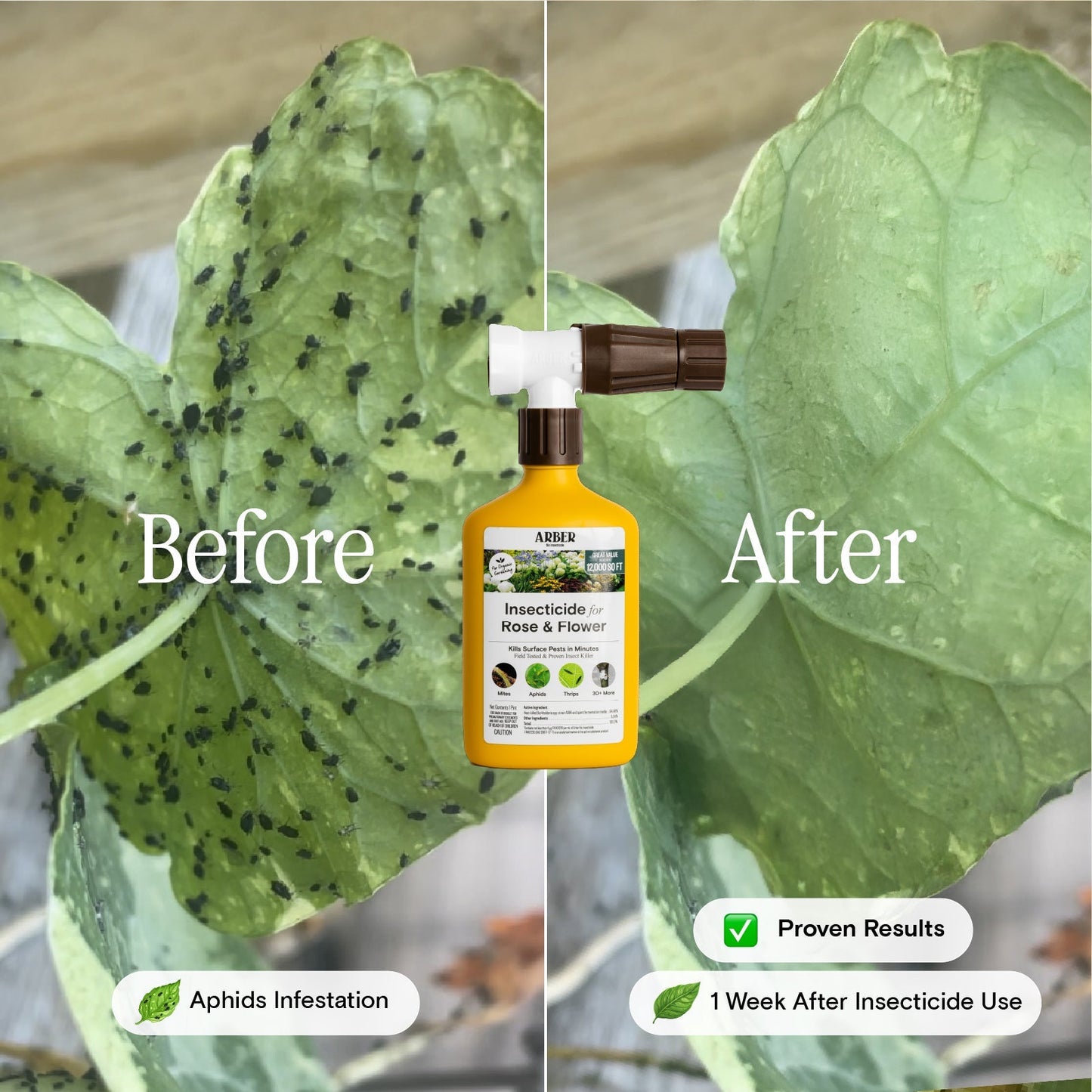 Organic Arber insecticide spray for roses and flowers, showing a green bottle with a spray nozzle against a garden background.