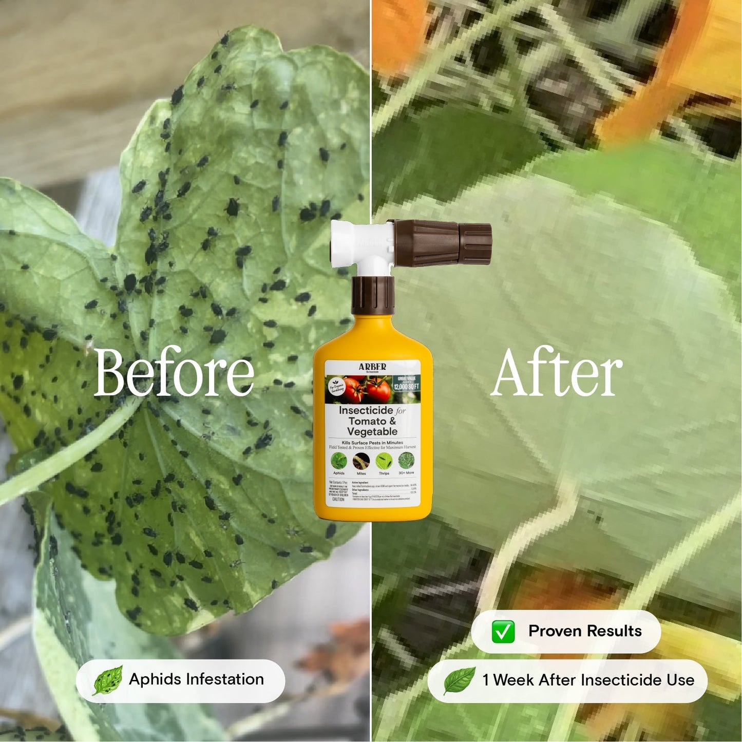 Organic insecticide for tomatoes and vegetables by Arber, showing a spray bottle outdoors in a garden setting.