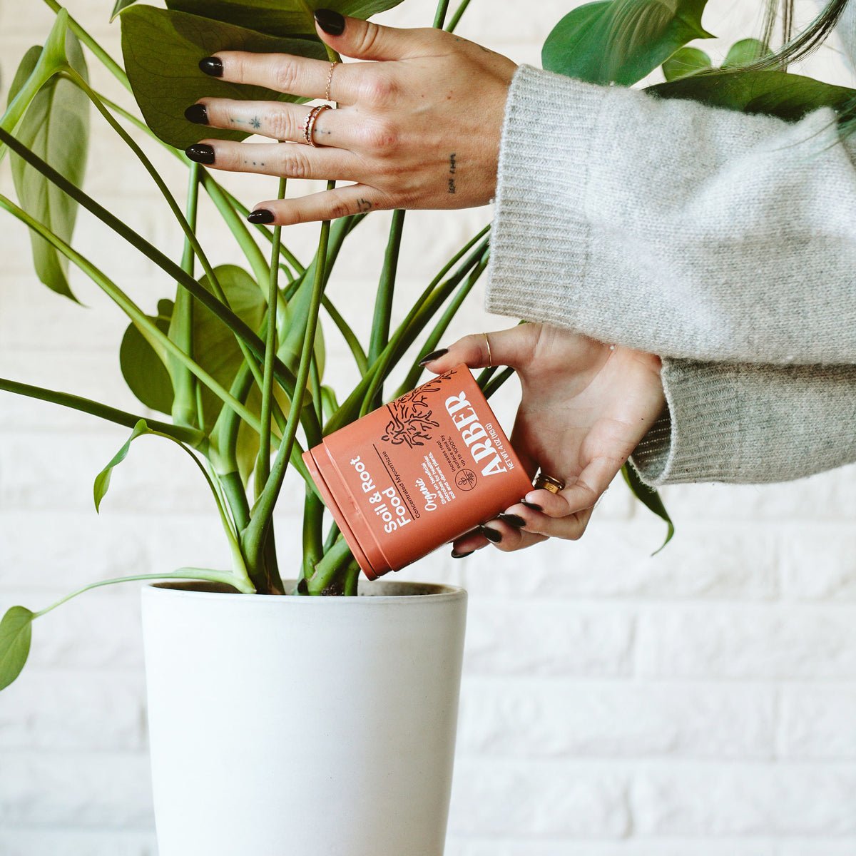 A person with black nail polish and rings sprinkles Arber Organic Soil & Root Boost from pink packaging into organic soil of a white potted plant with large green leaves.