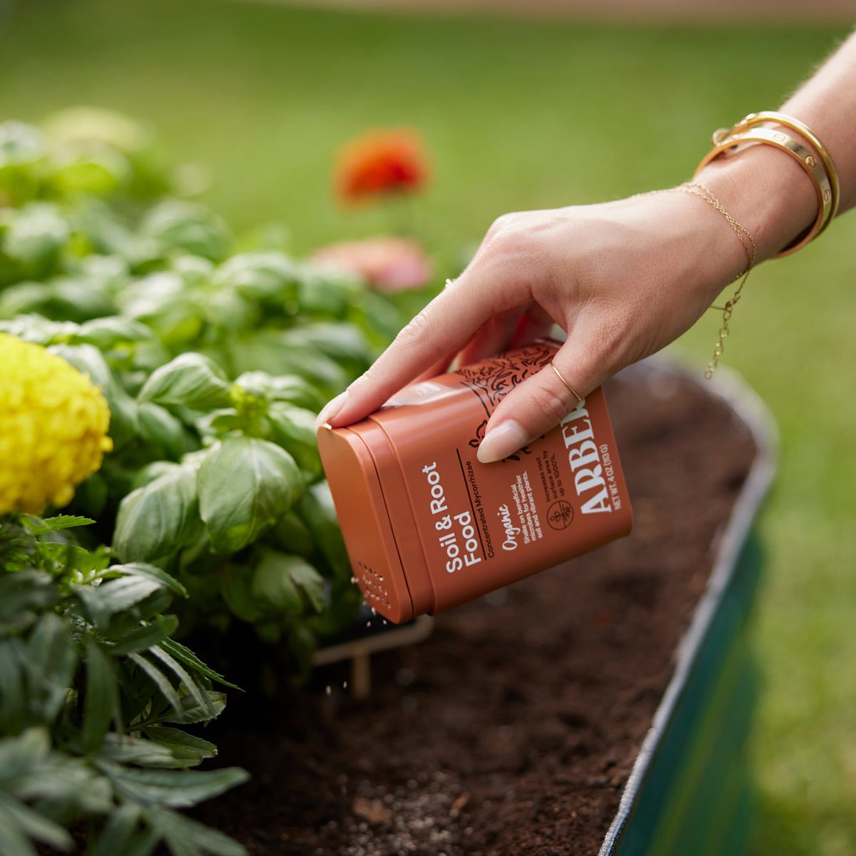 A person sprinkles Arber Organic Soil & Root Boost onto organic soil near green plants and yellow flowers in a garden bed, with a blurred grassy background.