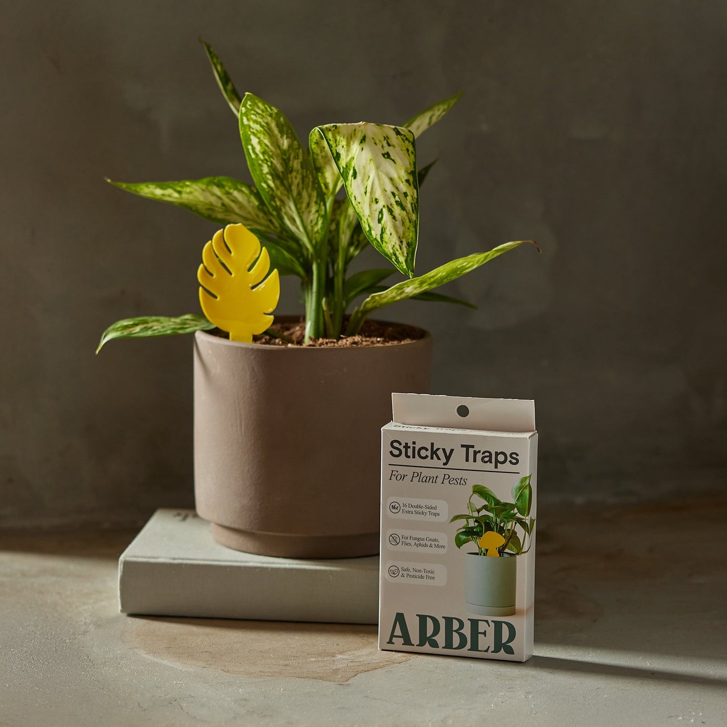 Arber sticky traps for plant pests, featuring yellow adhesive surfaces designed to attract and capture insects.
