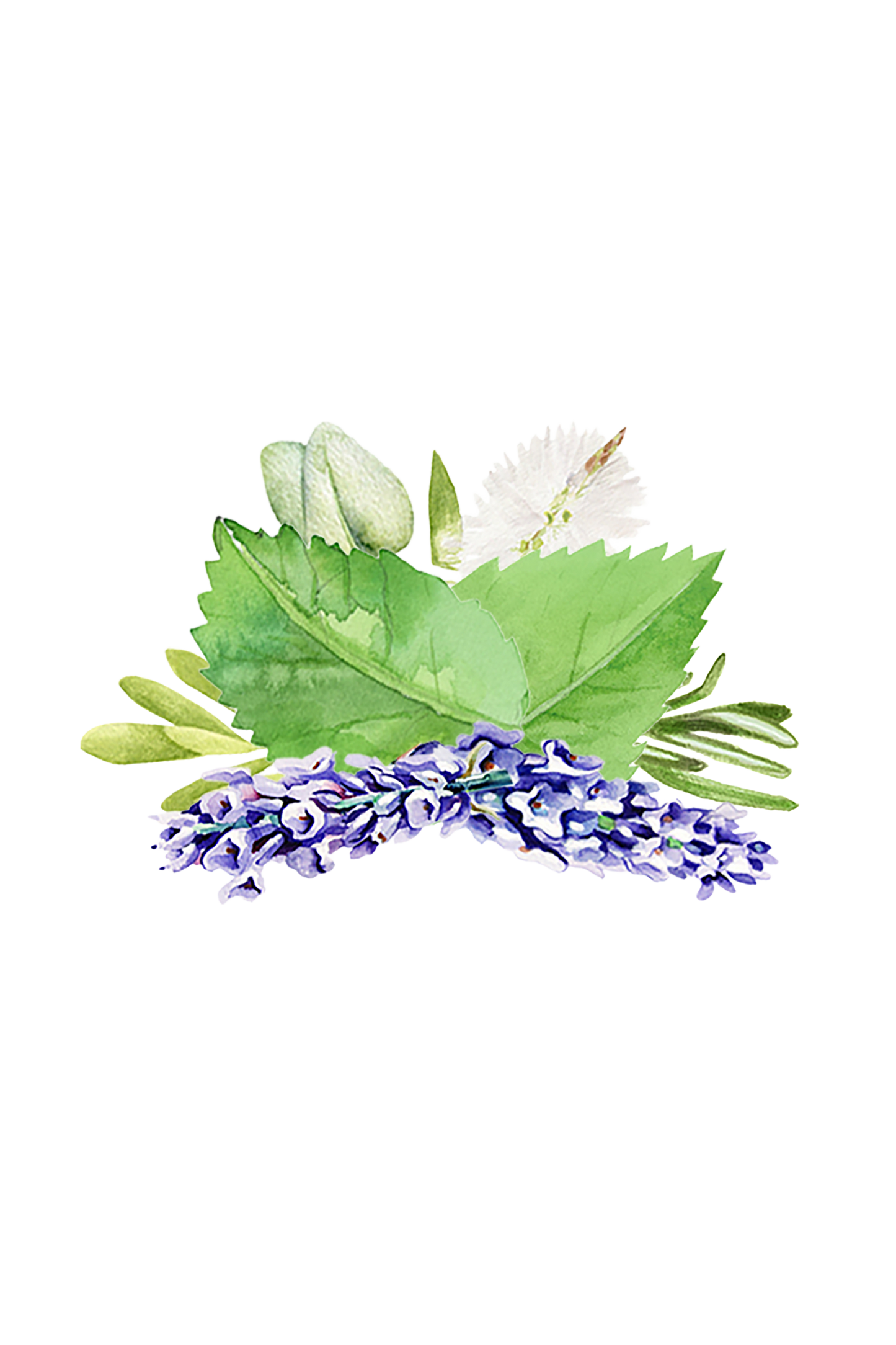 Room Spray | Aromatherapy Blend - Blessings Grow Meadows