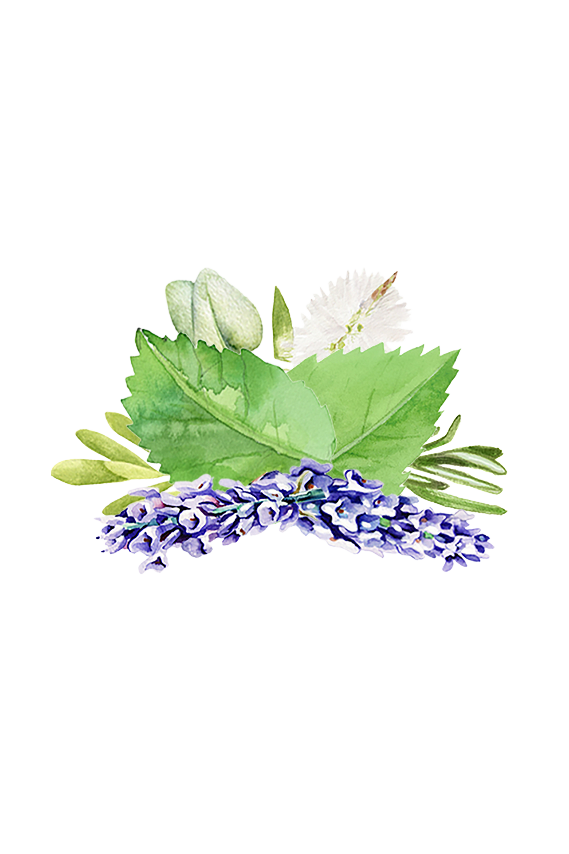 Room Spray | Aromatherapy Blend - Blessings Grow Meadows