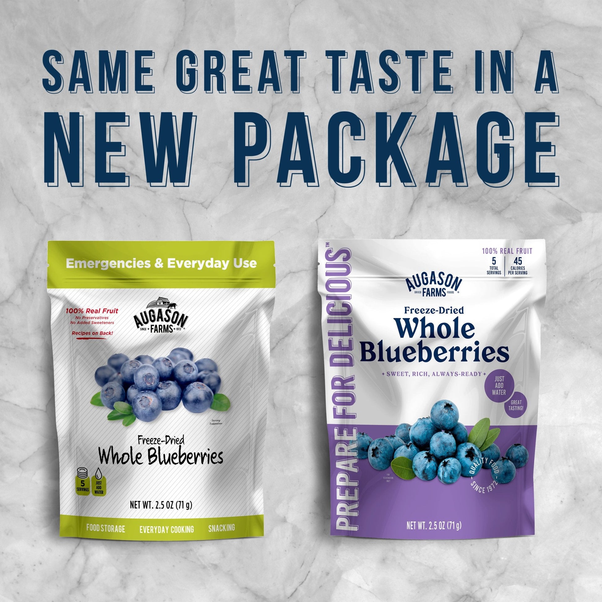 Freeze Dried Whole Blueberries Pouch, 5 Servings - Blessings Grow Meadows