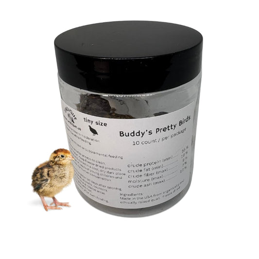 Dehydrated whole quail chick treats for cats and dogs, 10 count, small premium snack from Quailz.com by Undique LLC