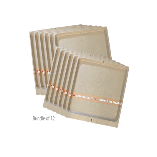 Power + Protect Bundle - Blessings Grow Meadows