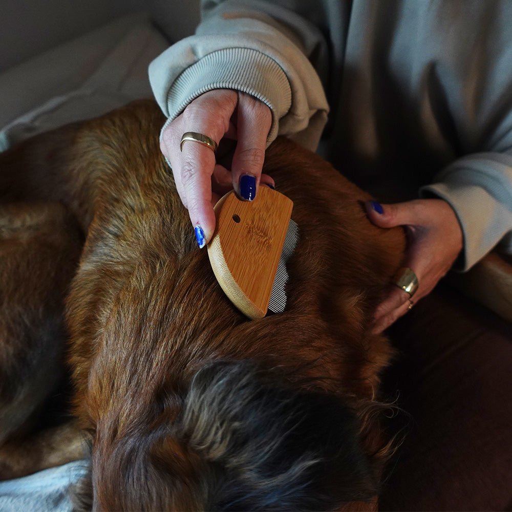 Bamboo flea comb for dogs and cats by Tilley + Me, made of eco-friendly bamboo, with fine teeth for gentle flea removal.