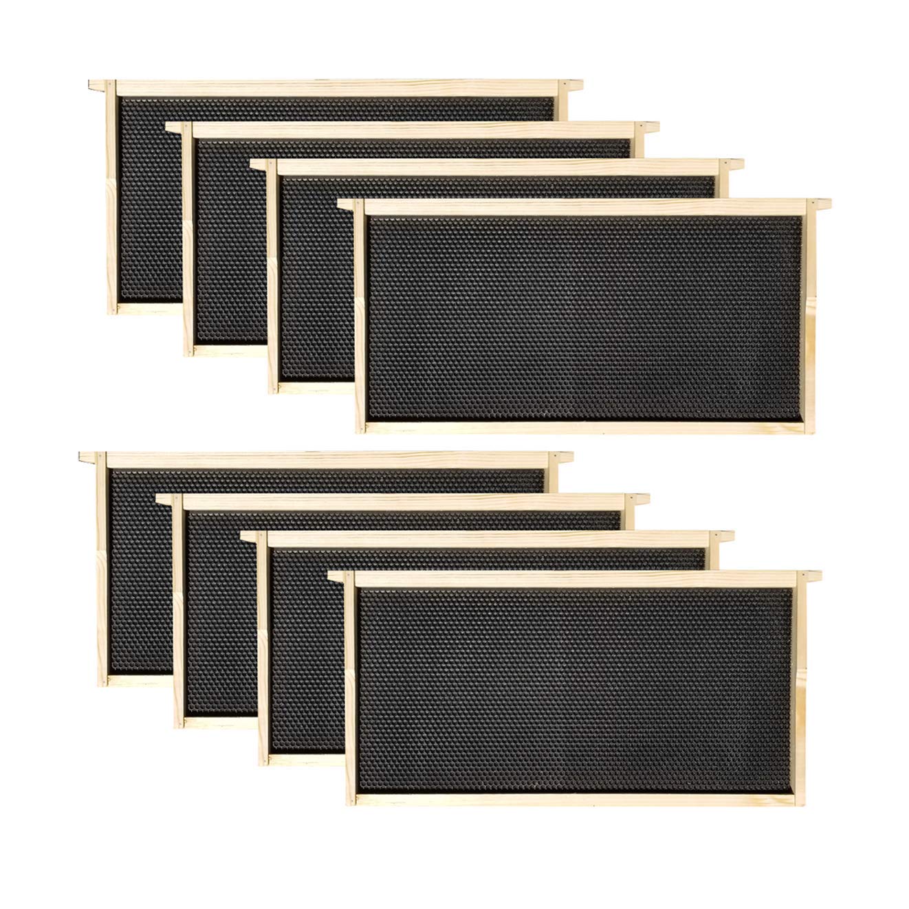 8 Frame Deep Brood Box – Unassembled w/ Frames & Foundations – Made in USA