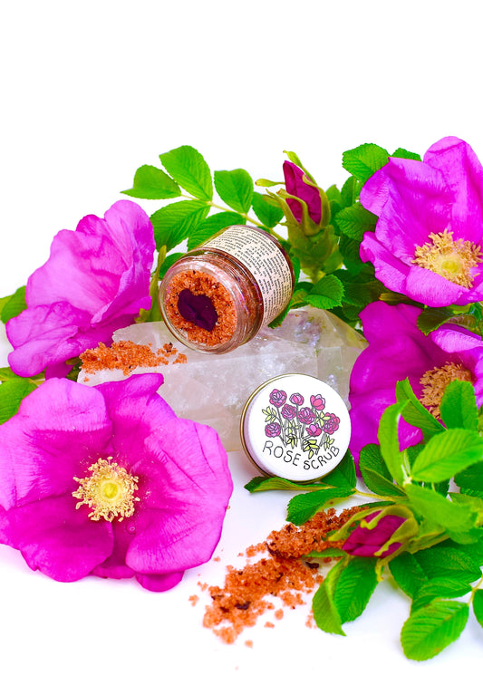 Plant Makeup Beach Rose Scrub in a jar with pink rose petals and natural exfoliating ingredients on a neutral background.