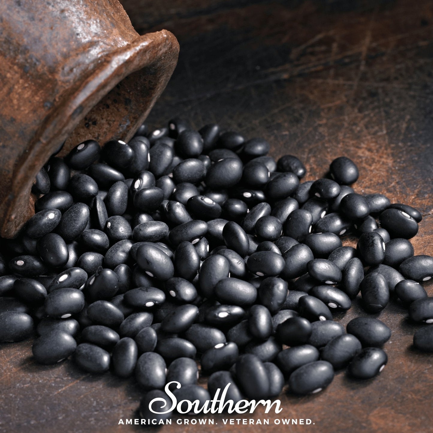 Black Coco Bean Bush seeds by Southern Seeds, showing healthy black beans and green foliage on a plant.