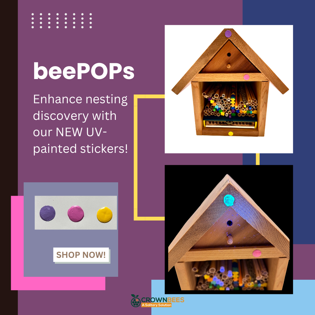 Cabana Bee House - Small Hex - Blessings Grow Meadows