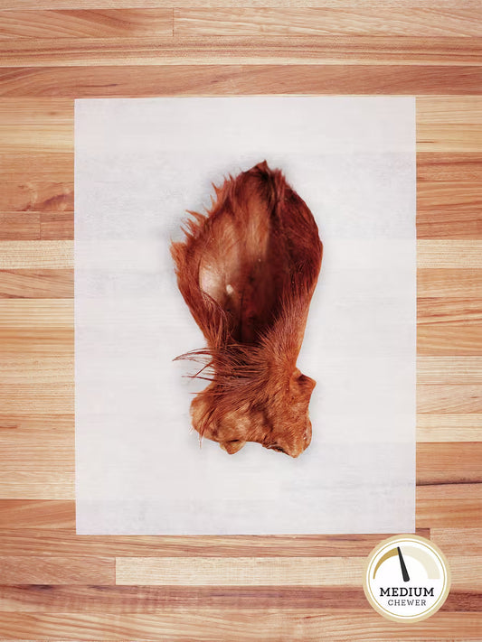 Beef Ear (Hairy) - Blessings Grow Meadows