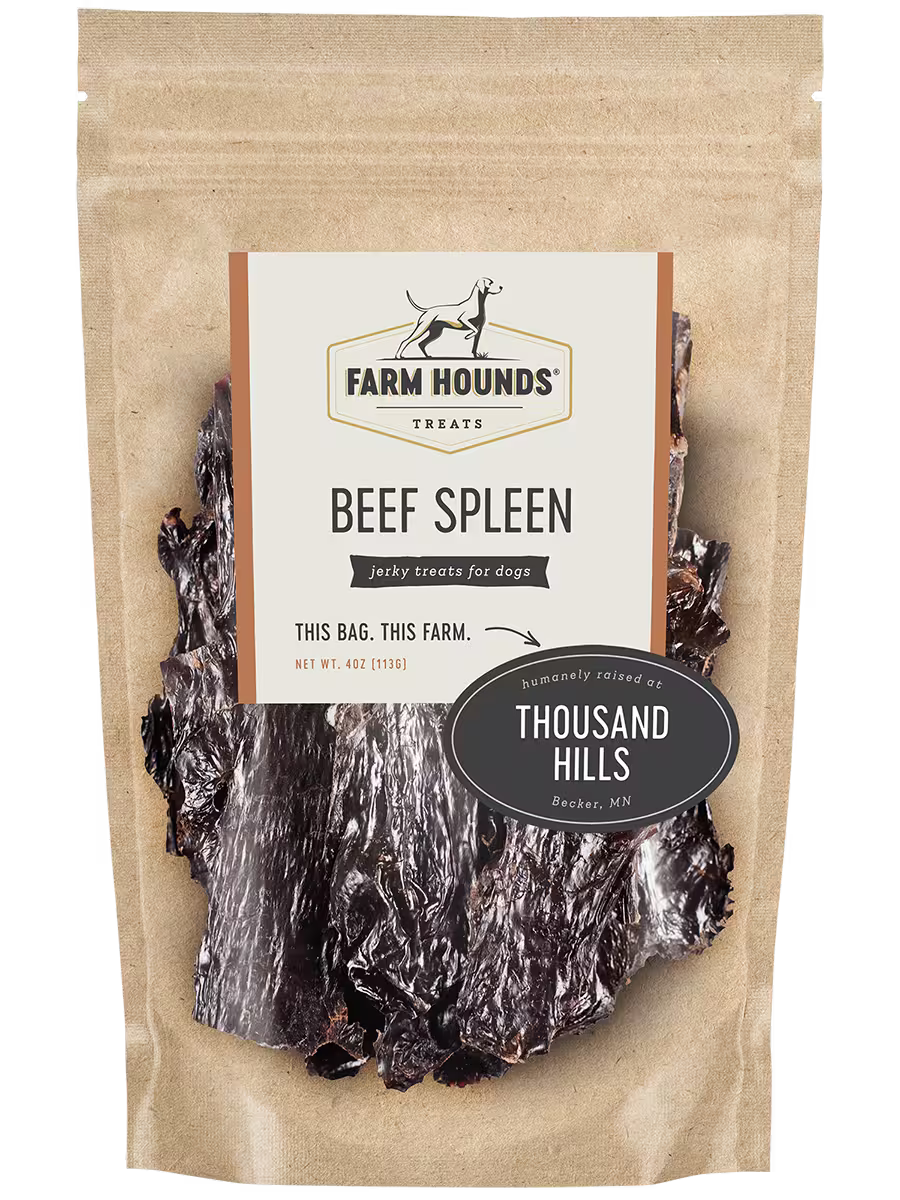 Fresh beef spleen from Farm Hounds, showing the front view of the organ with detailed texture and rich red color.