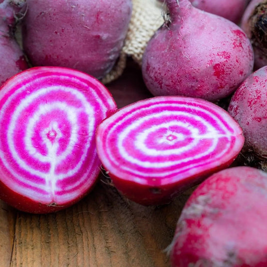 Beet Seeds - Chioggia Beet - Blessings Grow Meadows