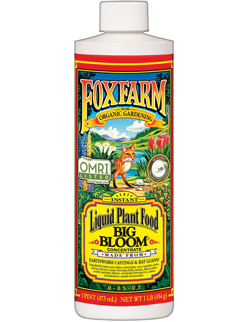 Liquid plant food by Rivendell Distribution with a large "Big Bloom" label, shown in a clear, upright bottle.
