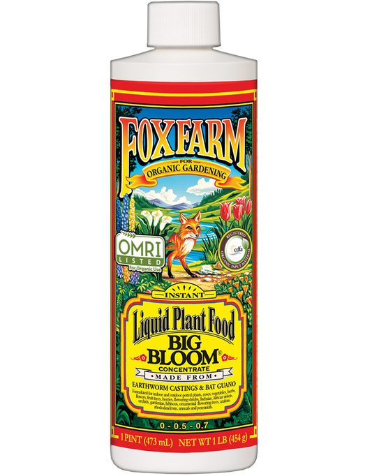 Liquid plant food by Rivendell Distribution with a large "Big Bloom" label, shown in a clear, upright bottle.