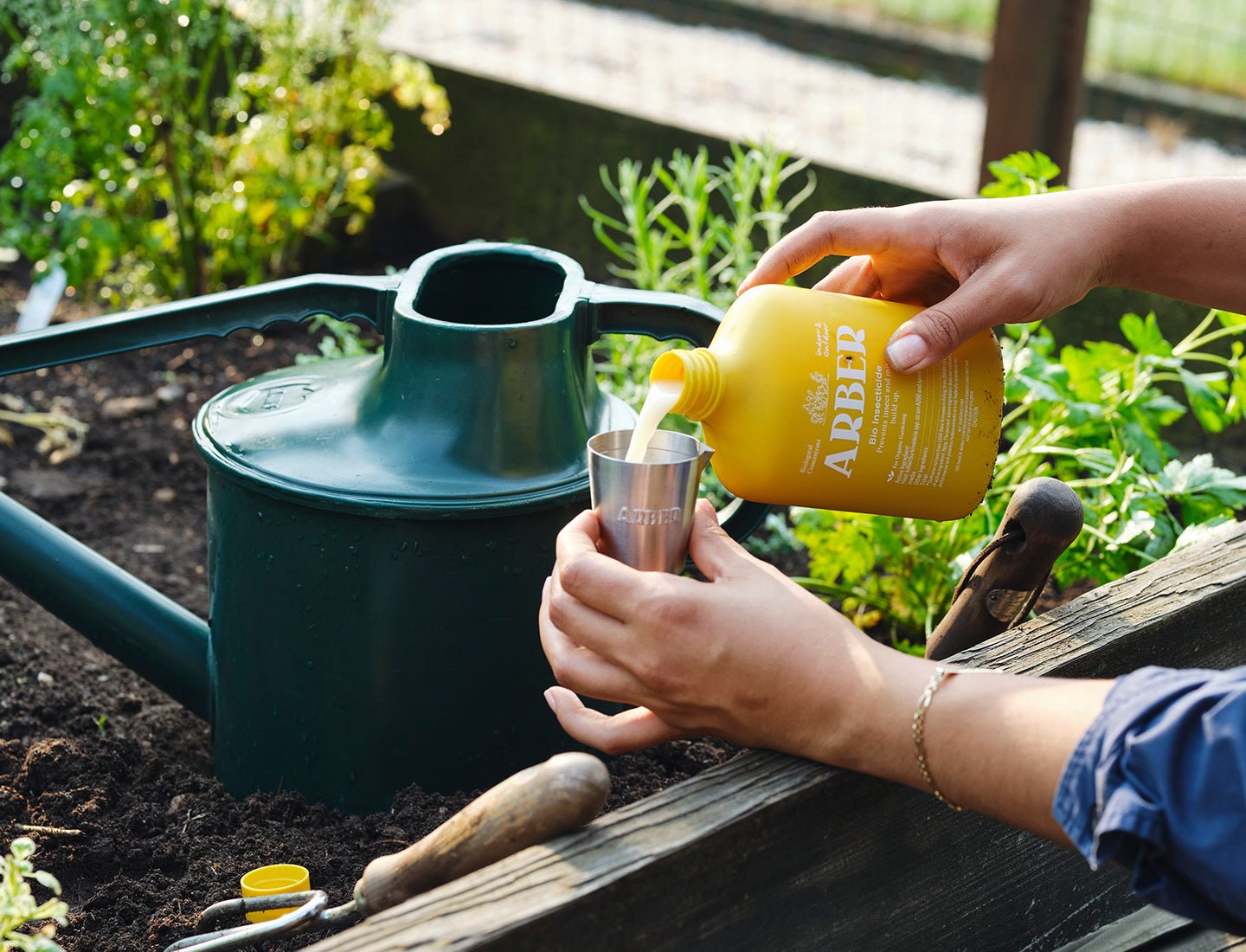 A person pours Arber Organic Bio Insecticide from a yellow bottle into a metal measuring cup by a garden bed, preparing for natural pest control, with a green watering can and gardening tools nearby.